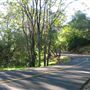 Western Placer County Roads