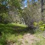Stone Meadows Ranch
