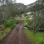 Stone Meadows Ranch