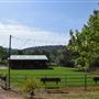 Olive Ranch
