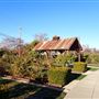 Rocklin