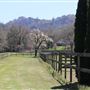 Alpine Ranch