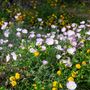 The Living Desert Zoo and Botanical Gardens