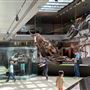 Museum of Natural History, Los Angeles