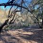 Calamigos Ranch