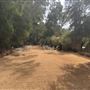 Calamigos Ranch
