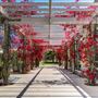 Park La Brea Community