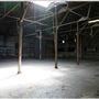 Willow Studios