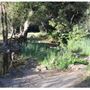 Wildwood Regional Park
