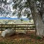 Randhawa Ranch