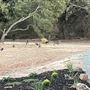 Acampo Property