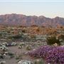 Fairfield Inn & Suites Twentynine Palms @ Joshua Tree National Park