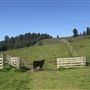 Browder Ranch