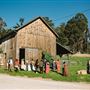 Pie Ranch