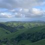 Halter Ranch