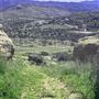 Blueberry Ranch Agua Dulce