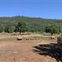 Wild Horse Sanctuary