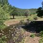 Wild Horse Sanctuary