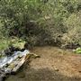 Mt. Shasta City Park