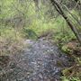 Mt. Shasta City Park