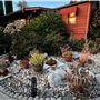 3-on-1 Lot Unique Property with Different Looks