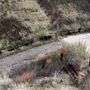 Tranquility Canyon Movie Ranch
