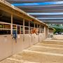 Los Angeles Equestrian Center - LAEC