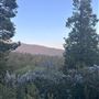 20 acres of Alpine mountainside with forests, granite and beautiful views