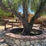 Blueberry Ranch Agua Dulce