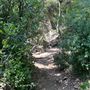 Malibu Creek State Park (SP)