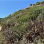 Staircase Beach @ Leo Carrillo State Park (SP) - CFC