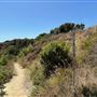 Staircase Beach @ Leo Carrillo State Park (SP) - CFC