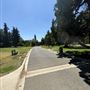 Lacy Park