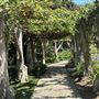 Huntington Library, Art Museum, and Botanical Gardens