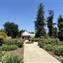 Huntington Library, Art Museum, and Botanical Gardens