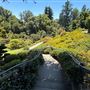 Huntington Library, Art Museum, and Botanical Gardens