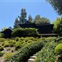 Huntington Library, Art Museum, and Botanical Gardens