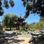 Huntington Library, Art Museum, and Botanical Gardens