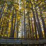 University of California, Santa Cruz - UCSC