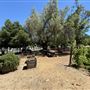 Los Encinos State Historic Park (SHP) adjacent to currently closed Lakeside Restaurant & Lounge