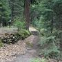 Dunsmuir City Park Sacramento River