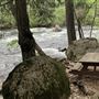 Dunsmuir City Park Sacramento River