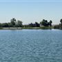Hansen Dam Recreation Center / Department of Recreation & Parks City of Los Angeles' Land Leased From U.S. Army Corps of Engineers