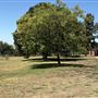 Hansen Dam Recreation Center / Department of Recreation & Parks City of Los Angeles' Land Leased From U.S. Army Corps of Engineers