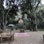Private Property at Angeles National Forest - Spanish/Mediterranean Style