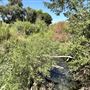 Sepulveda Basin Wildlife Preserve / Woodley Park