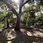 Orcutt Ranch Horticultural Center & Community Garden