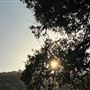 Driftwood Ranch