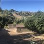 Rancho Kit (2)