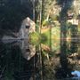 Spanish Home on 3 Acres with Private Pond and Rock Cabin